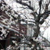 f:id:petit-happy:20160216100300j:plain