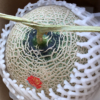 f:id:petit-happy:20151023002401j:plain