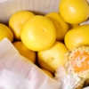f:id:petit-happy:20150429103653j:plain
